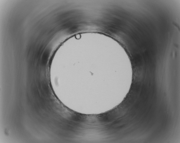 X0000103941472200809191136