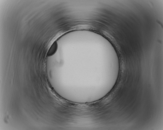 X0000103941473200809191136