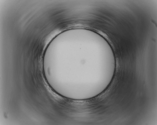 X0000103941474200809191136