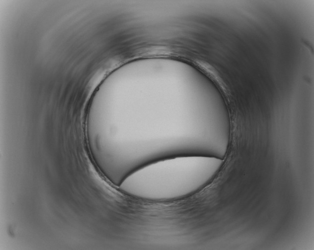 X0000103941475200809191136