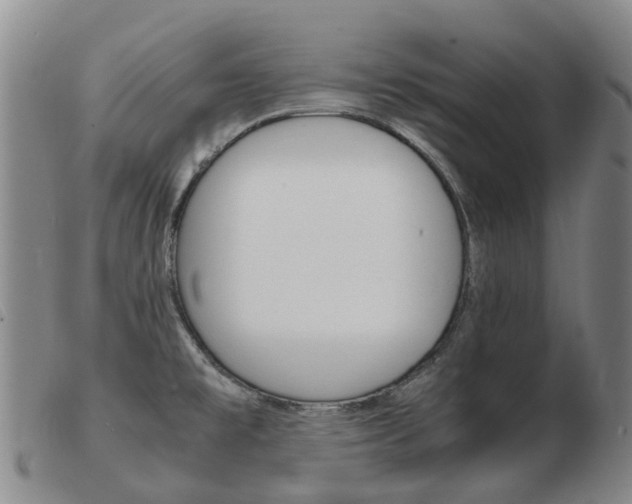 X0000103941477200809191136