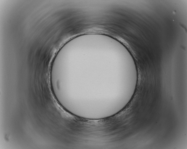 X0000103941478200809191136