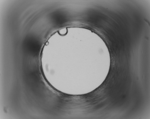X0000103941479200809191136