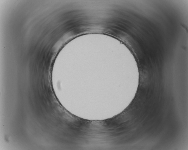 X0000103941480200809191136