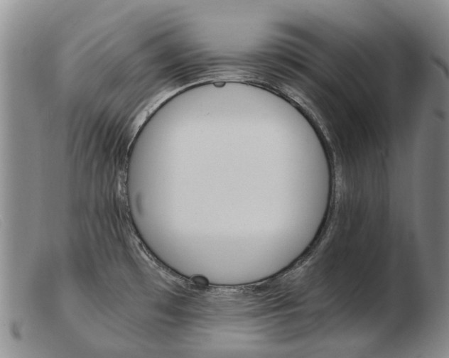 X0000103941481200809191136