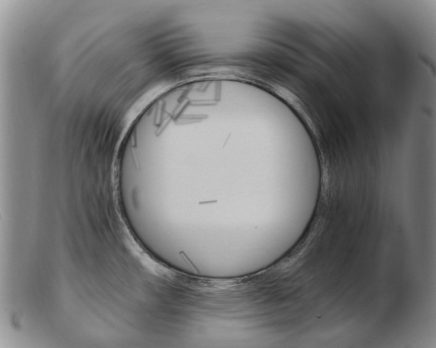 X0000103941482200809191136