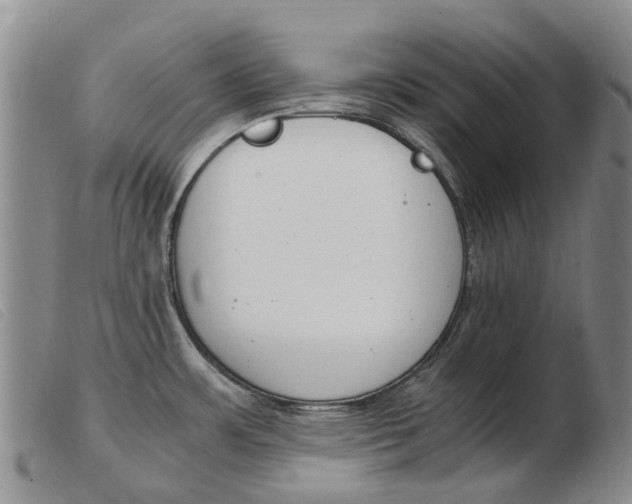 X0000103941483200809191136