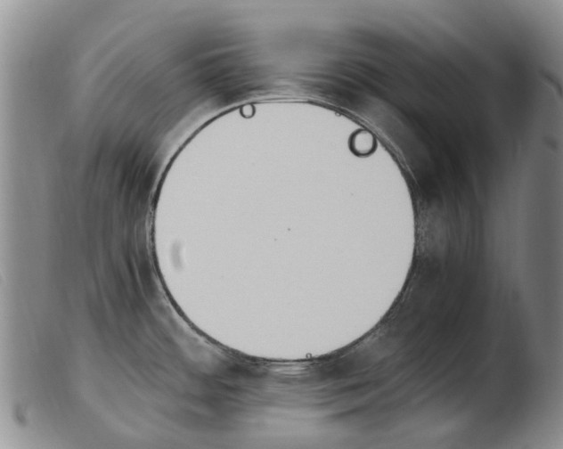 X0000103941484200809191136
