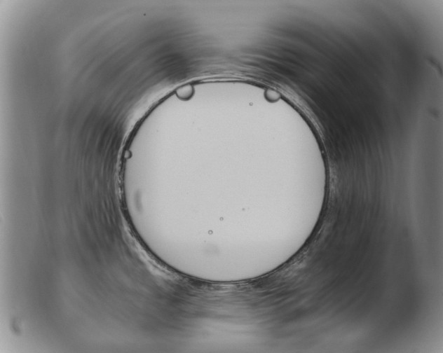 X0000103941485200809191136