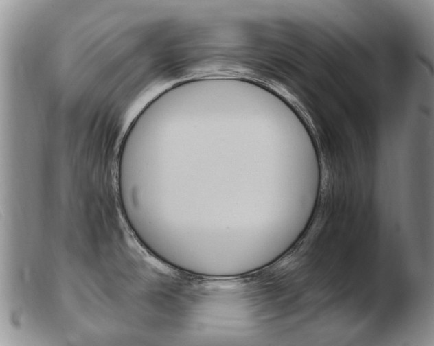 X0000103941486200809191136