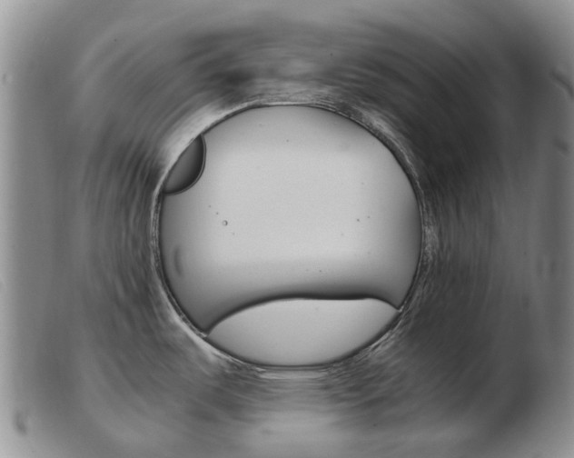 X0000103941487200809191136