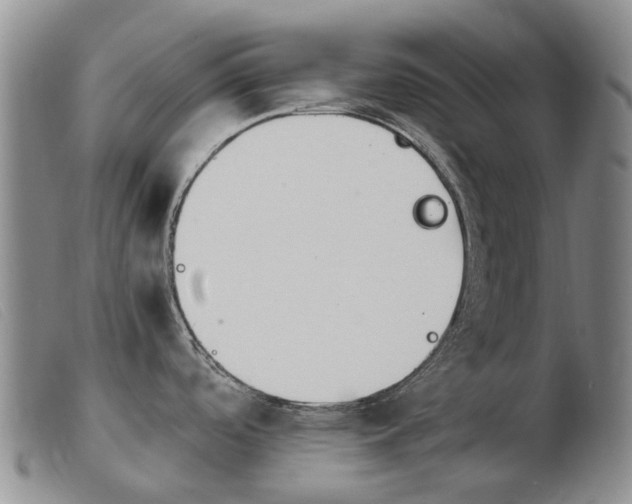 X0000103941488200809191136
