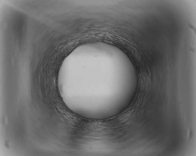 X0000103941489200809191135