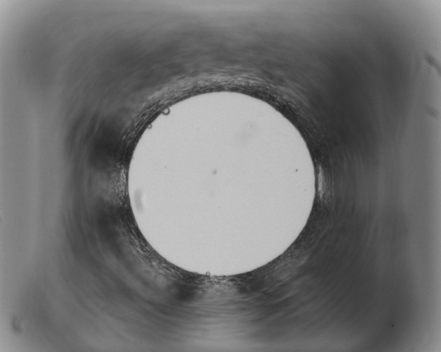 X0000103941492200809191135