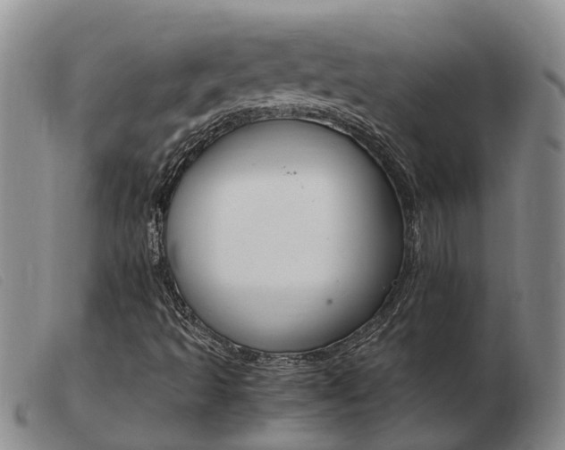 X0000103941493200809191135