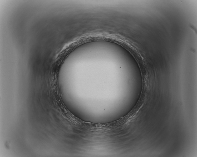 X0000103941494200809191135