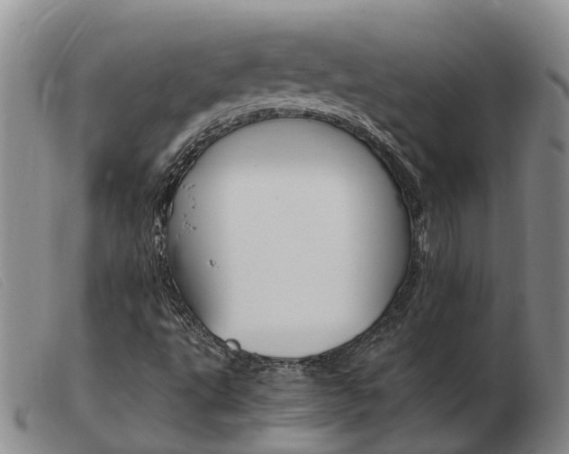 X0000103941495200809191135
