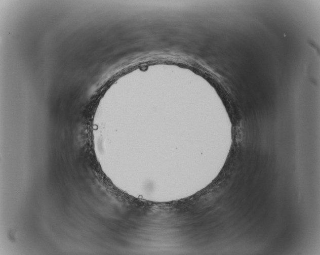 X0000103941496200809191135