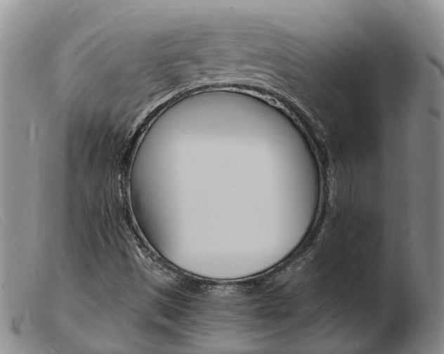 X0000103941497200809191135