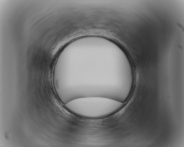 X0000103941498200809191135