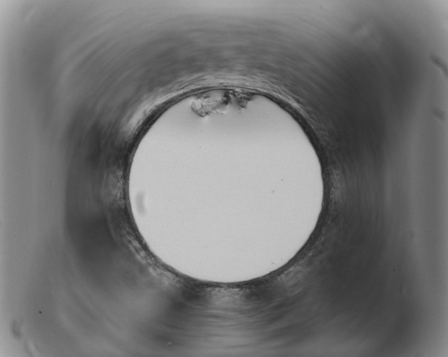 X0000103941499200809191135