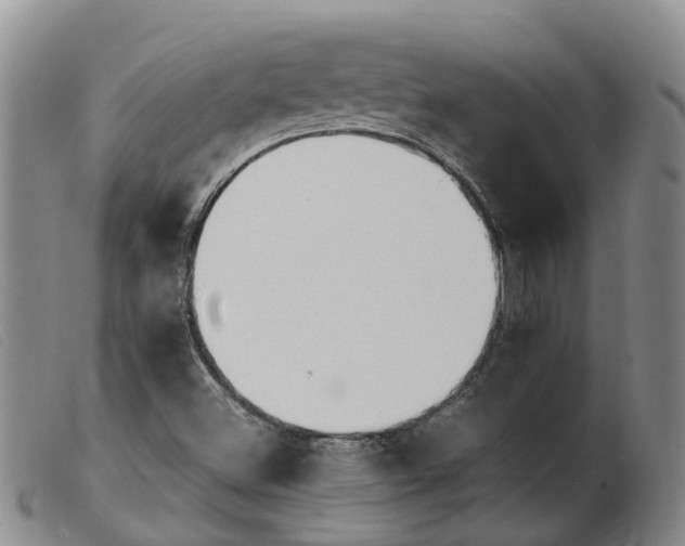 X0000103941500200809191135