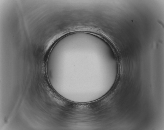 X0000103941501200809191135