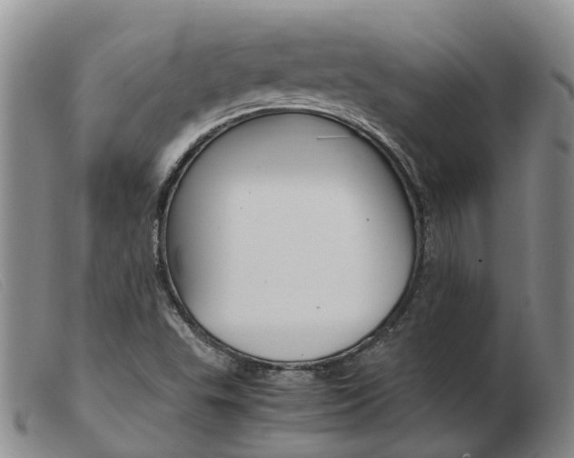 X0000103941503200809191135