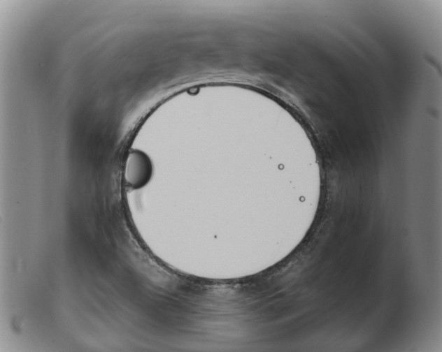 X0000103941504200809191135