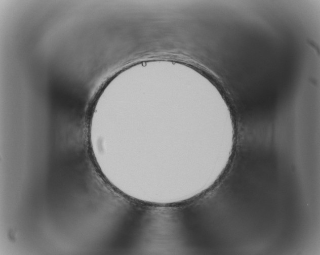 X0000103941506200809191135