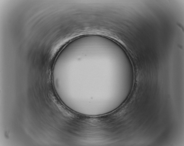 X0000103941507200809191135