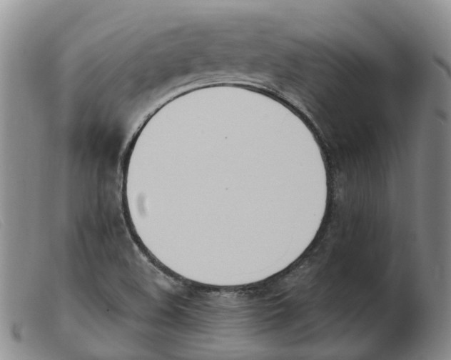X0000103941508200809191135