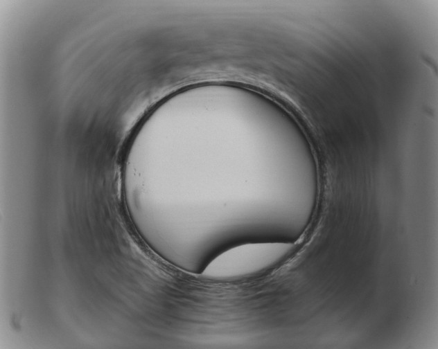 X0000103941509200809191135