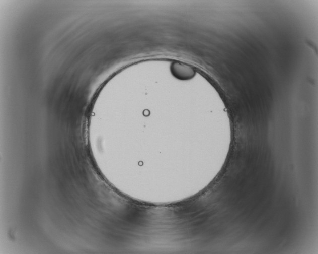 X0000103941510200809191135