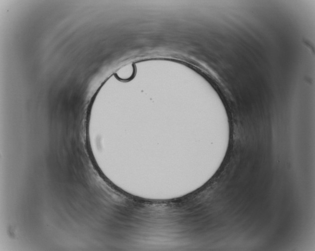 X0000103941512200809191135