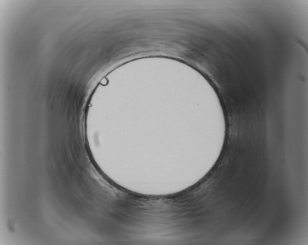 X0000103941516200809191135