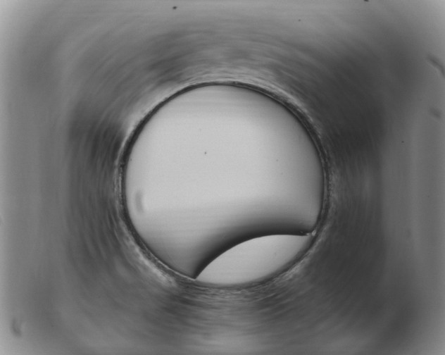 X0000103941517200809191135