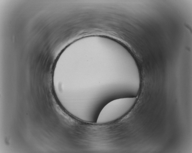 X0000103941518200809191135