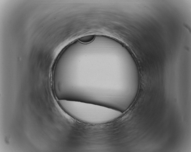 X0000103941519200809191135