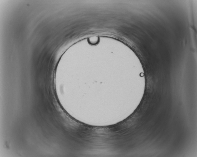 X0000103941520200809191135
