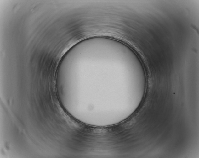 X0000103941521200809191135