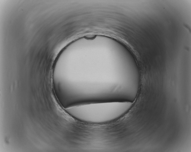 X0000103941522200809191135