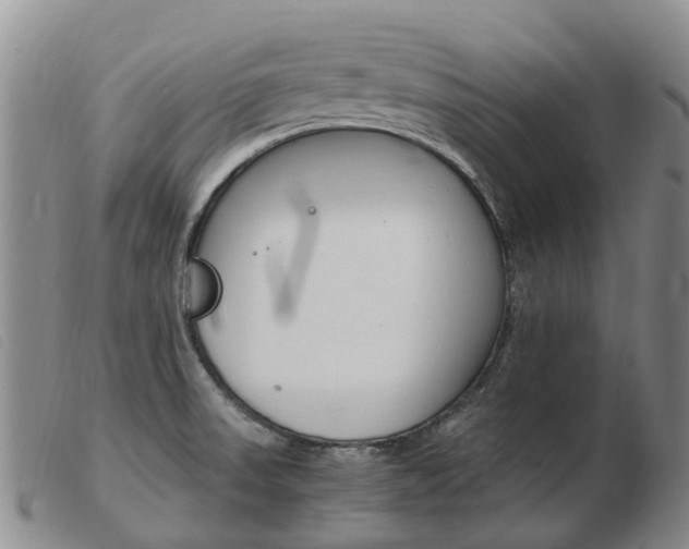 X0000103941523200809191135