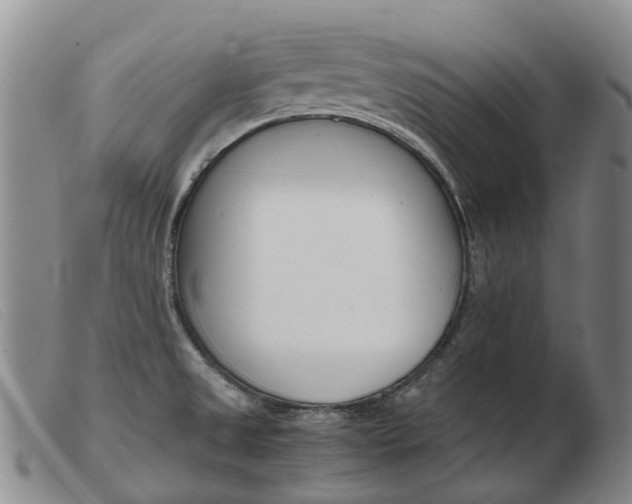X0000103941525200809191135