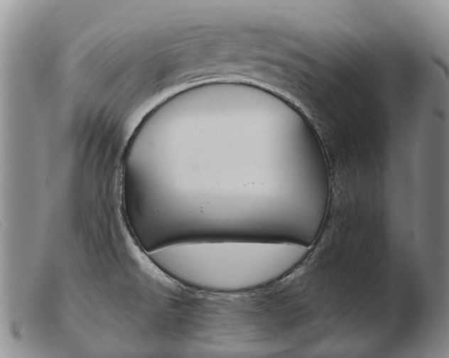 X0000103941526200809191135