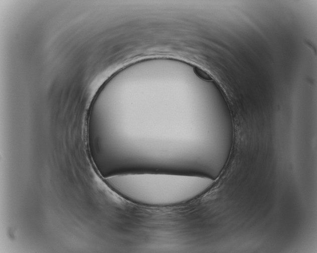 X0000103941527200809191135