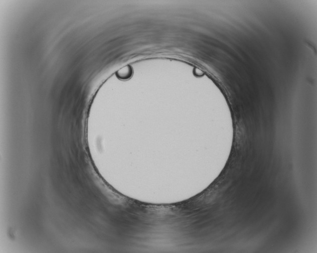 X0000103941528200809191135