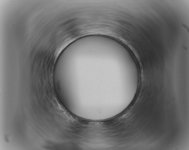X0000103941529200809191135