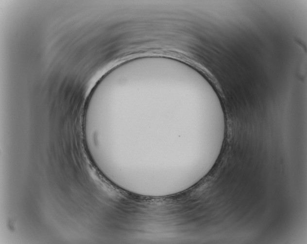 X0000103941530200809191135