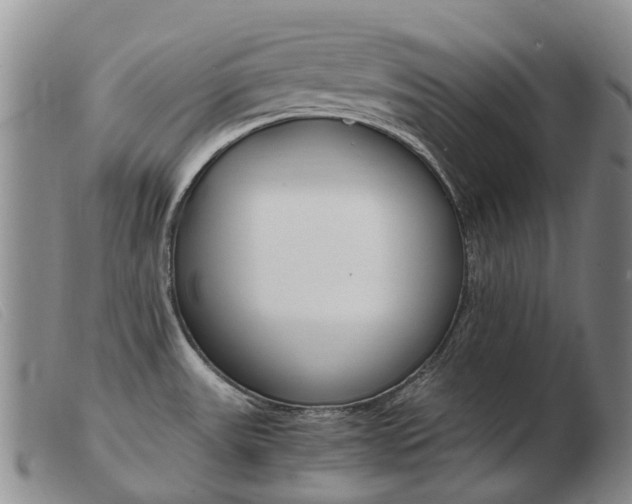 X0000103941531200809191136